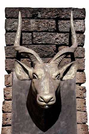 The Sculpture of head bull on wallの写真素材