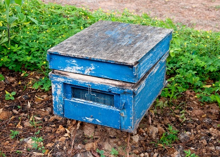 The Bee hives in a forest