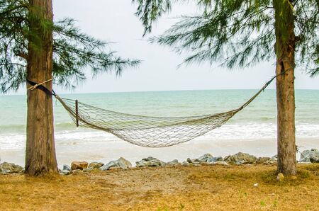 Hammock hanging on tree on beachの写真素材