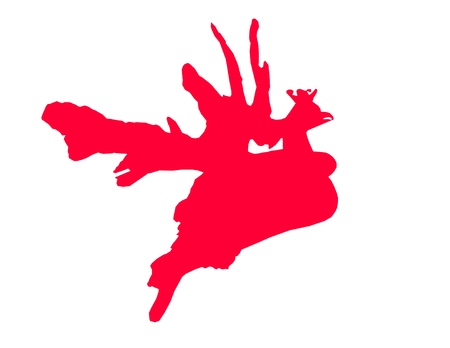 Abstract of bird isolated on white backgroundの写真素材