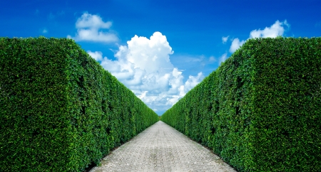 Green fence on blue sky background