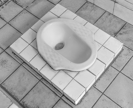 White lavatory sit in toiletの写真素材