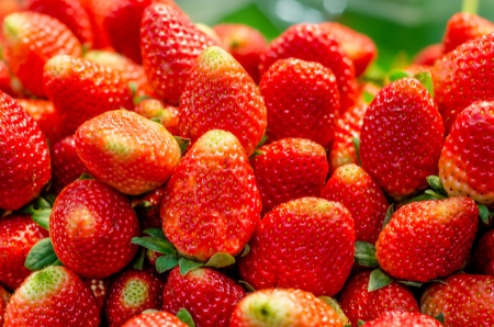 Fresh strawberry in the marketの写真素材