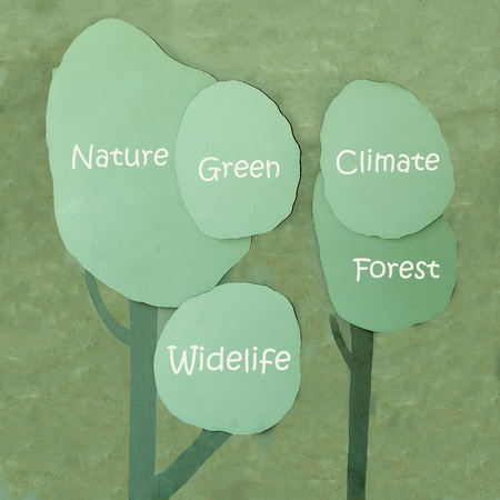 Concept or conceptual of nature,green,wildlife,climate,forestの写真素材