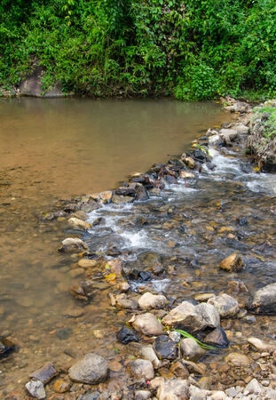 Beautiful stream in the north of thailandの写真素材