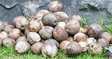 Dried coconuts