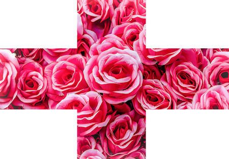 Artificial pink rose across lineの写真素材