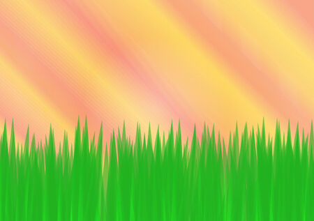 Green grass with colorful sky background vector illustrationの写真素材