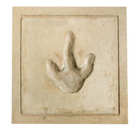 Imprint of foot dinosaur isolated on white backgroundの写真素材