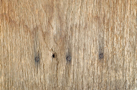 Wooden textured backgroundの写真素材