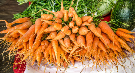 Fresh baby carrots in the marketの写真素材