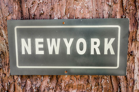 Sign of newyork text plate on tree backgroundの写真素材