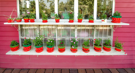 Flowers in garden pot on step wood wallの写真素材