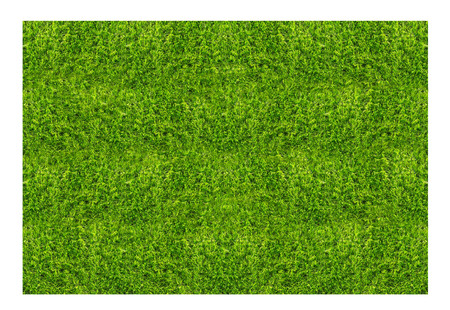 Artificial green grass backgroundの写真素材