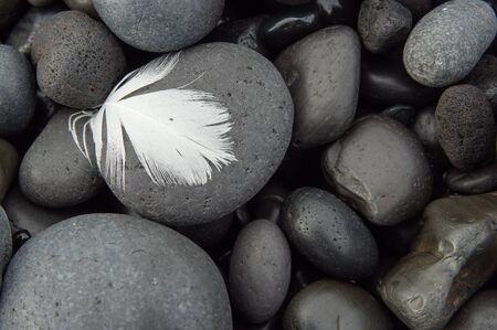 White feather laying on cobblestonesの写真素材