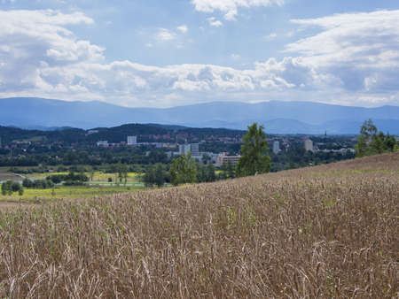Wheat Field In A Hilly Landscape In Jelenia Gora, Silesia, Poland