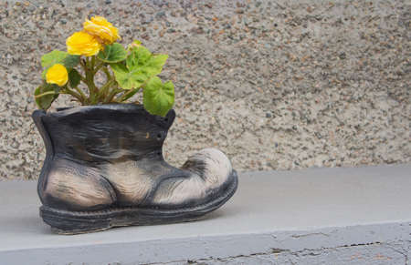 Boot Flower Pot With Yellow Rosesの写真素材