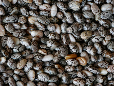 Close-up of Chia Seeds, Salvia hispanica, Food Background