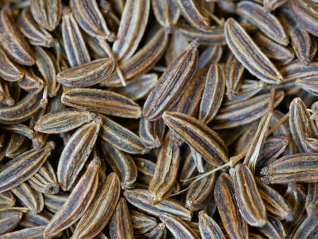 Close-up of Caraway Seeds, Carum carvi, Food Background WIth Selected Focusの写真素材