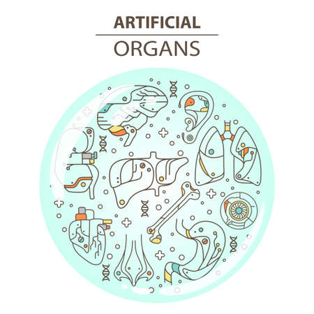 Artificial organs. Vector illustration EPS 10 Isolated objectsのイラスト素材