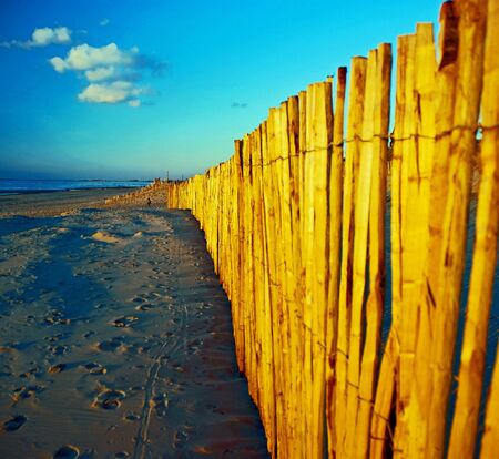Autumn at the beach, the Netherlandsの写真素材