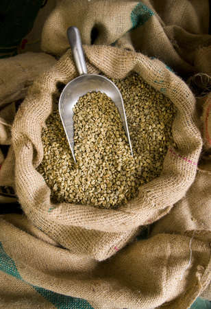 Raw Coffee Beans still in the bag の写真素材