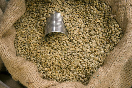 A can sits in the beans waiting to scoop and take beans to the roasterの写真素材