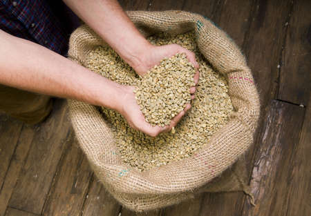 A roaster takes a moment to check the quality of his beans or seeds before roasting の写真素材