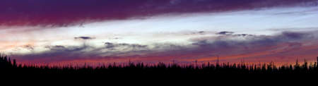 Panoramic Sunset in the woods of Oregon State North Americaの写真素材
