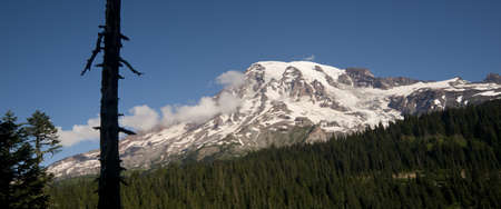 Mt. Rainier and Dense Forest National Park Washington Stateの写真素材