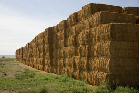 Hay Bales Huge Stack Corner of Farmers Field Farm Stapleの写真素材