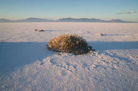 The Bonneville Salt Flats is a densely packed salt pan in Tooele County in northwestern Utah. The area is a remnant of the Pleistocene Lake Bonneville and is the largest of many salt flats located west of the Great Salt Lake.の写真素材