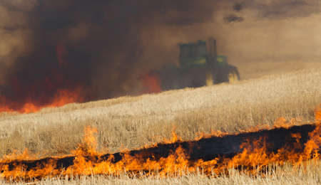 Farmers do a controlled burn before plowing after harvestの写真素材