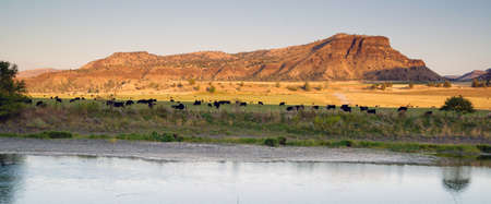 The sun has almost set over this cattle ranch in Oregon desert landの写真素材