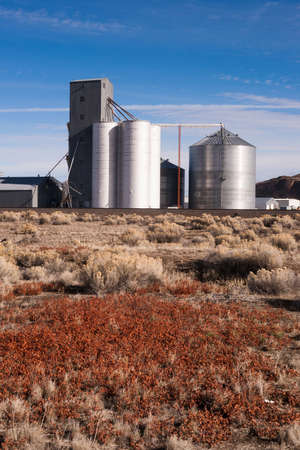 Local agriculture industry loads trucks for shippingのeditorial素材