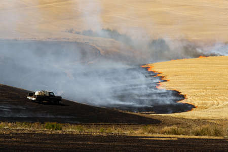 Agriculture Worker Burns Plant Stalks After Harvest Ground Fireの写真素材