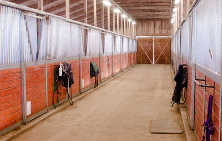 Horse Barn Animal Sport Paddock Equestrian Ranch Racing Stableのeditorial素材