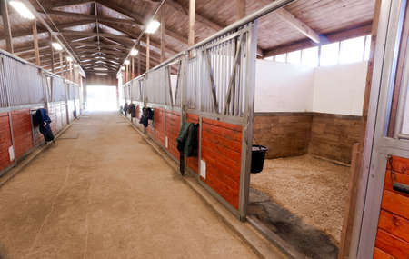 Horse Barn Animal Sport Paddock Equestrian Ranch Racing Stableのeditorial素材