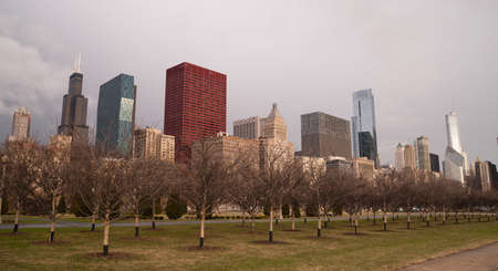 Trees planted by the city parks department will start flowering soon in Chicagoの写真素材