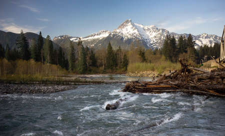 Logs jam up under the bridge on the Saukの写真素材