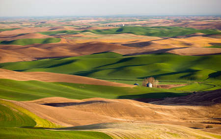 The sun rises setting the landscape in an orange hueの写真素材