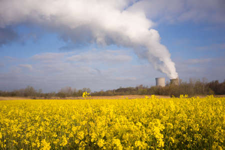 A surreal but beautiful scene with a foreground of wildflowers near a nuclear power plant on the east coastの写真素材