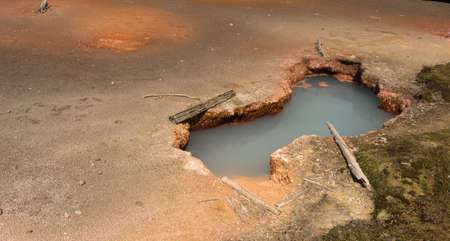 Hot Springs bubble up in the Artist Paint Pots area of Yellowstone