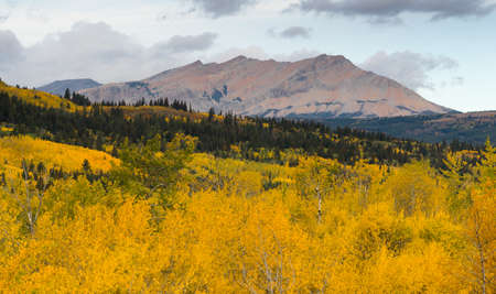 The season ends with fall saturated color in Glacier National Parkの写真素材