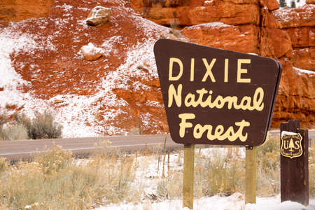 Fresh snow has fallen in the Dixie National Forestの写真素材