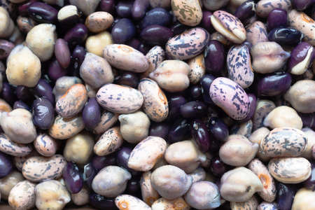 Beans Soaking Whole Food Garbonzo Bean Black Anasaziの写真素材