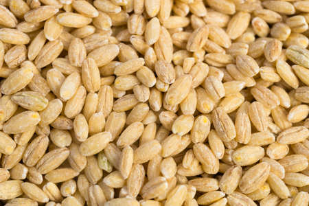 Close up shot of Pearl Barley in a pileの写真素材