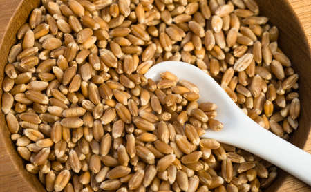 A cup of Red Wheat Berries with spoonの写真素材