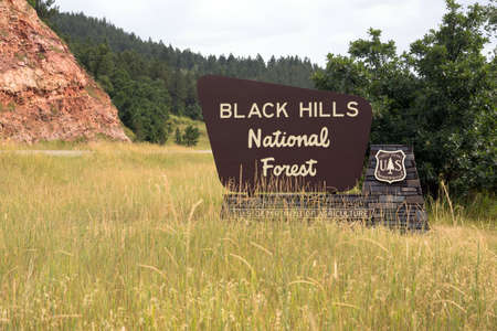 Viewer enters the Black Hills National Forestのeditorial素材