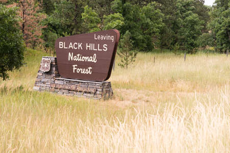 Viewer enters the Black Hills National Forestのeditorial素材